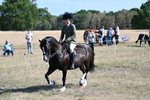 WJ7_3690