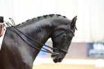 SBM_003470