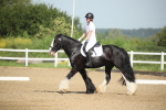 SBM_007878