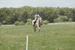 BVHT 140517  NXC -191
