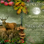 September / Hazel Moon