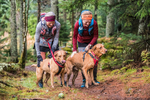 Glentress-2409
