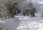 Snow Time