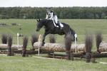 BVHT 140517  IXC -838