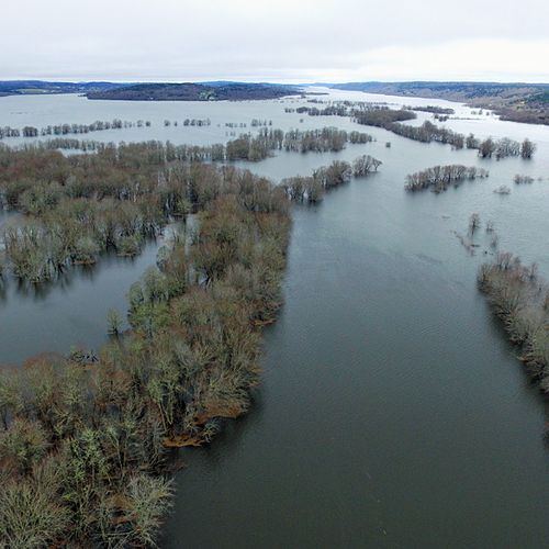Aerial view looking towards the west and Darlings Island from Hampton and showing the very swollen Hammond/Kennebecai…