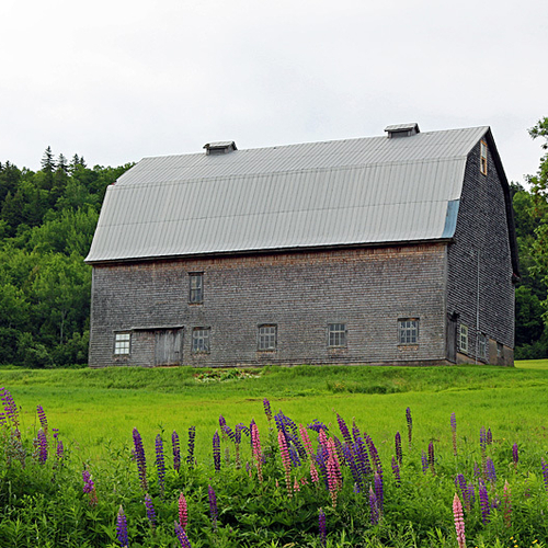 The Bates Barn @ Long Point, Kings County, New Brunswick, Canada