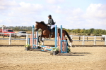 SBM_006265