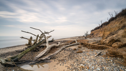 Treemains II - Covehithe, Suffolk