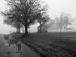 Crossing to the Woods