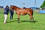 SBM_00972