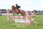 BPP_6617