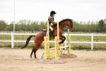 SBM_008687