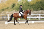 SBM_018713