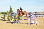 SBM_003213