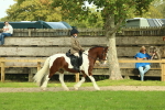 SBM_68187