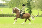 SBM_72099