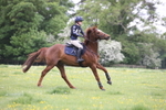 20260503-9157
