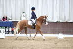 SBM_01633