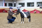 SBM_15736