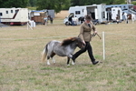 WJ6_5407