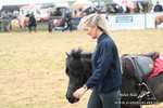SHETPR 210425 1