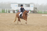 SBM_001437