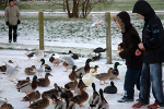 Feeding So Many