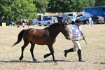 WJ6_8569