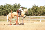 SBM_000792