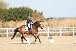 SBM_017324