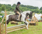 Dunblane show-136