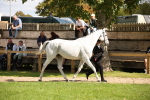 SBM_44373