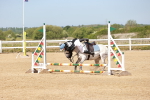 SBM_006951