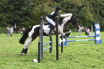 ESK_0377