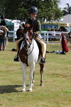SIAL3412