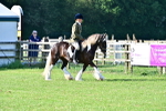 SBM_11374
