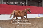 JAC_5087