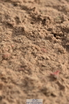 231015A-150158-08860