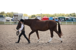 SBM_07096