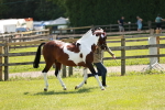 SBM_05442