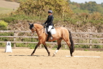 SBM_011191