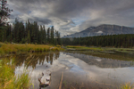 Johnson Lake 2