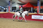 SBM_05557