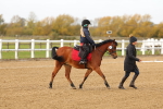 SBM_000251