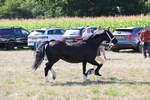 WJ6_4884