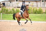 Wednesday 11th BS Seniors - Click to Enter portfolio