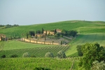 Podere on the hill