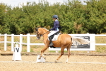 SBM_004683