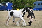 WJ6_6464