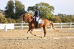 SBM_009079